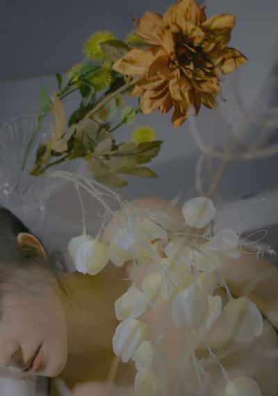 91视在线精_高清手机免费观看完整